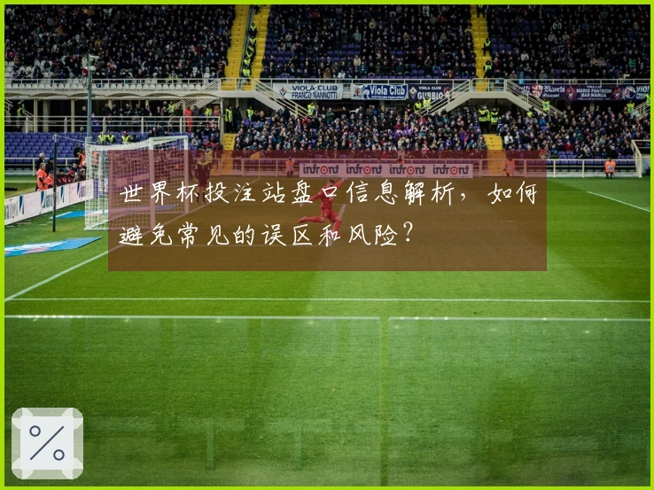 世界杯投注站盘口信息解析，如何避免常见的误区和风险？