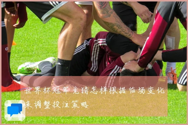 世界杯冠军竞猜怎样根据临场变化来调整投注策略