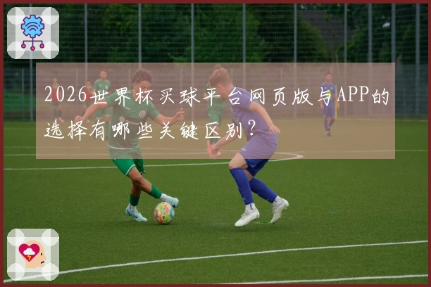 2026世界杯买球平台网页版与APP的选择有哪些关键区别？