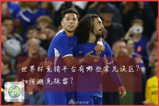 世界杯竞猜平台有哪些常见误区？如何避免踩雷？