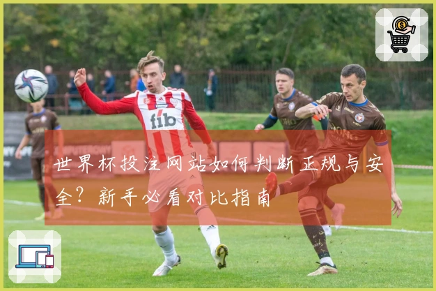 世界杯投注网站如何判断正规与安全？新手必看对比指南