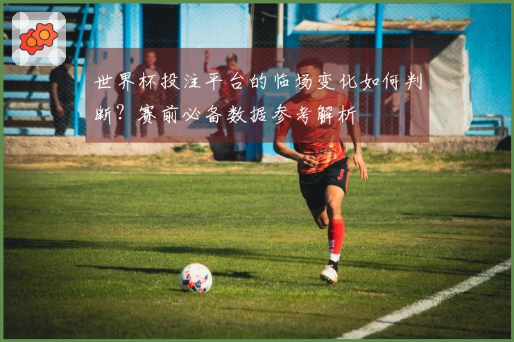 世界杯投注平台的临场变化如何判断？赛前必备数据参考解析