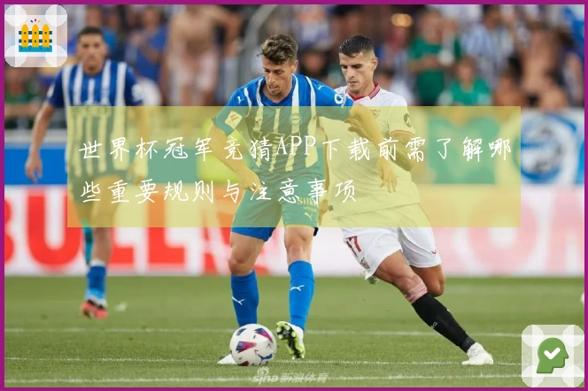 世界杯冠军竞猜APP下载前需了解哪些重要规则与注意事项