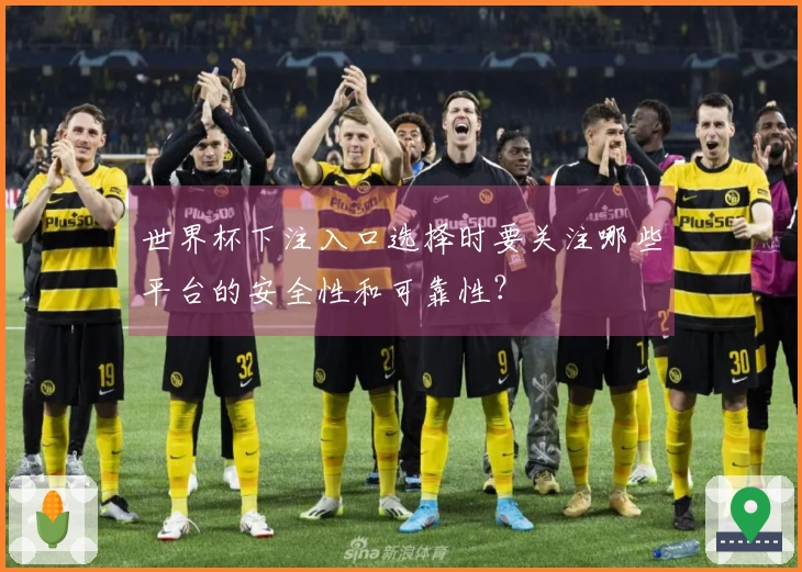 世界杯下注入口选择时要关注哪些平台的安全性和可靠性？