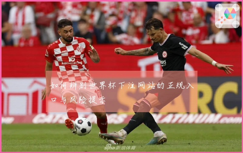 如何辨别世界杯下注网站的正规入口与风险提示