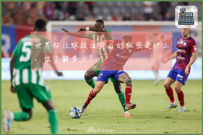 世界杯让球投注背后的秘密是什么，你了解多少？
