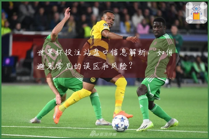 世界杯投注站盘口信息解析，如何避免常见的误区和风险？