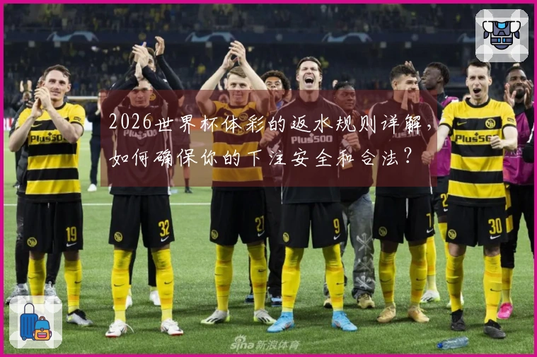 2026世界杯体彩的返水规则详解，如何确保你的下注安全和合法？