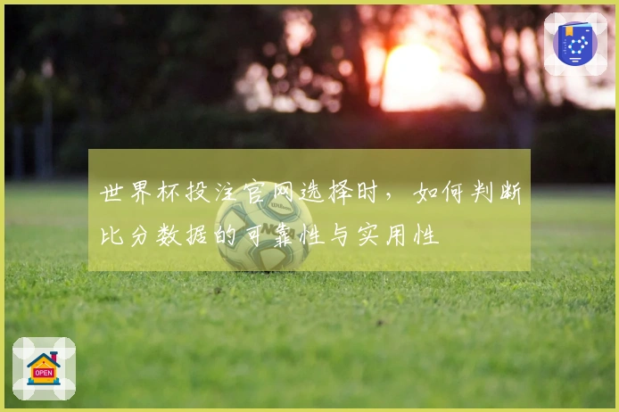 世界杯投注官网选择时，如何判断比分数据的可靠性与实用性