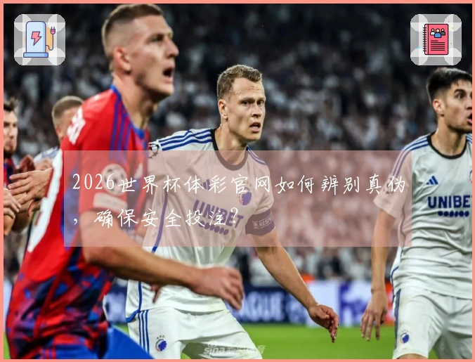 2026世界杯体彩官网如何辨别真伪，确保安全投注？